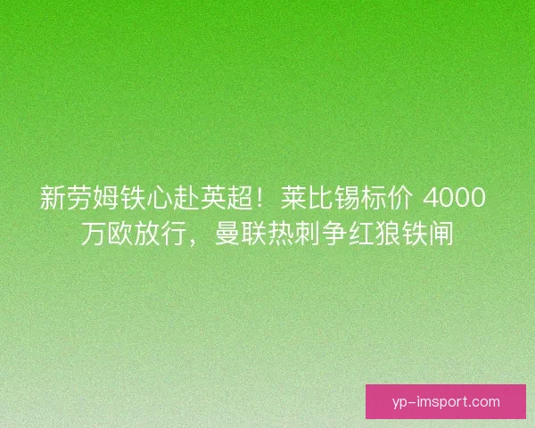 新劳姆铁心赴英超！莱比锡标价 4000 万欧放行，曼联热刺争红狼铁闸